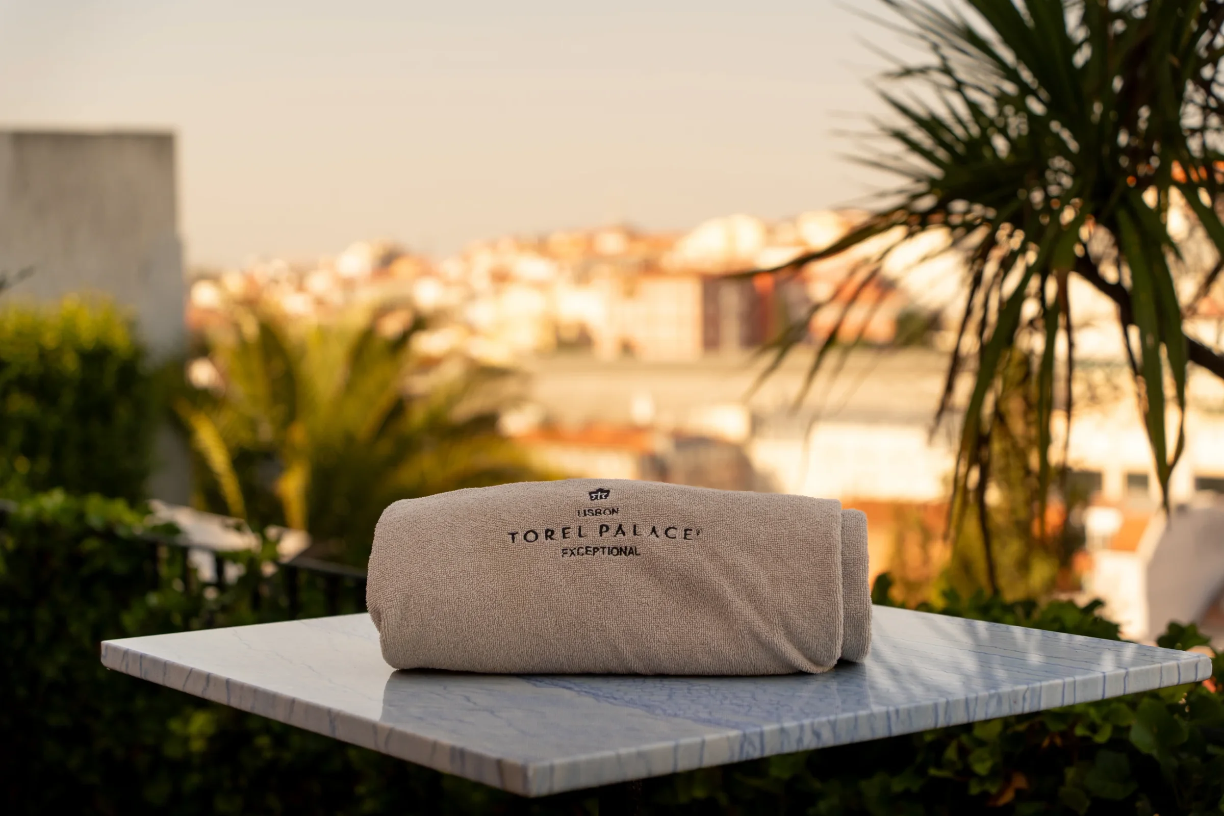 Torel Palace, Lisbon, Portugal — view 5